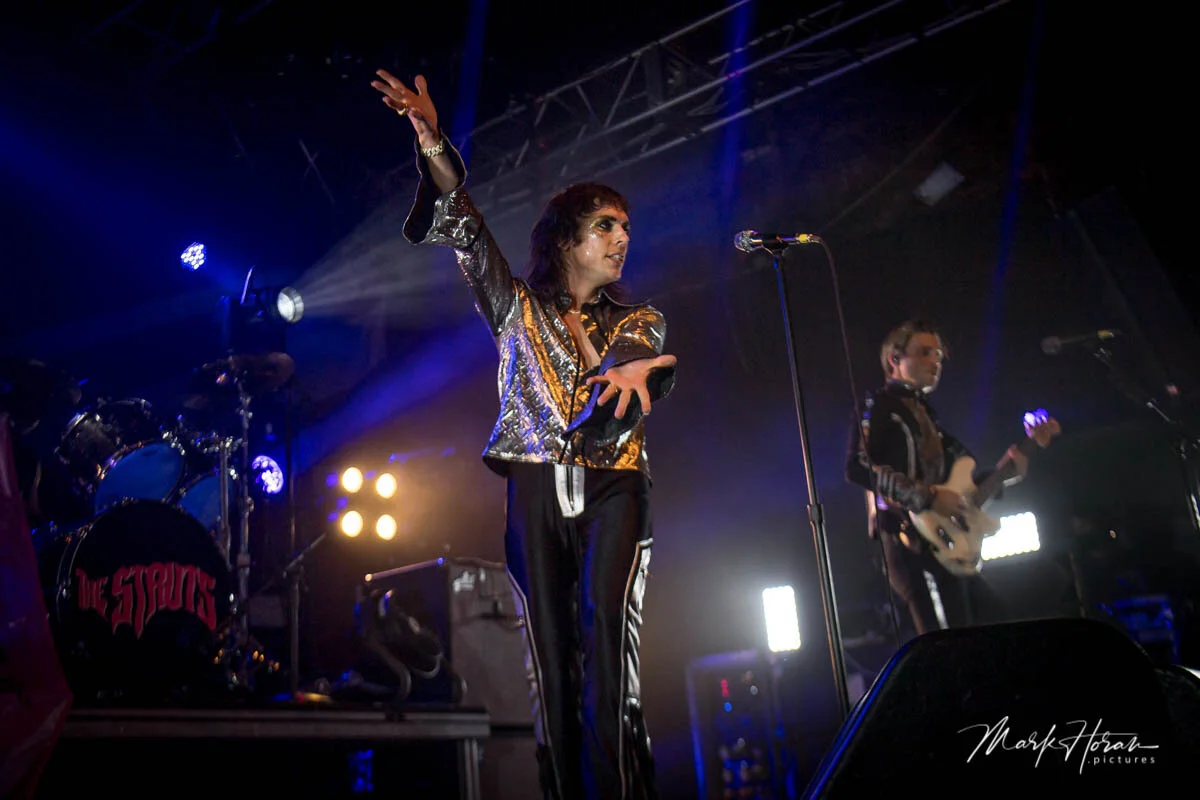 The Struts