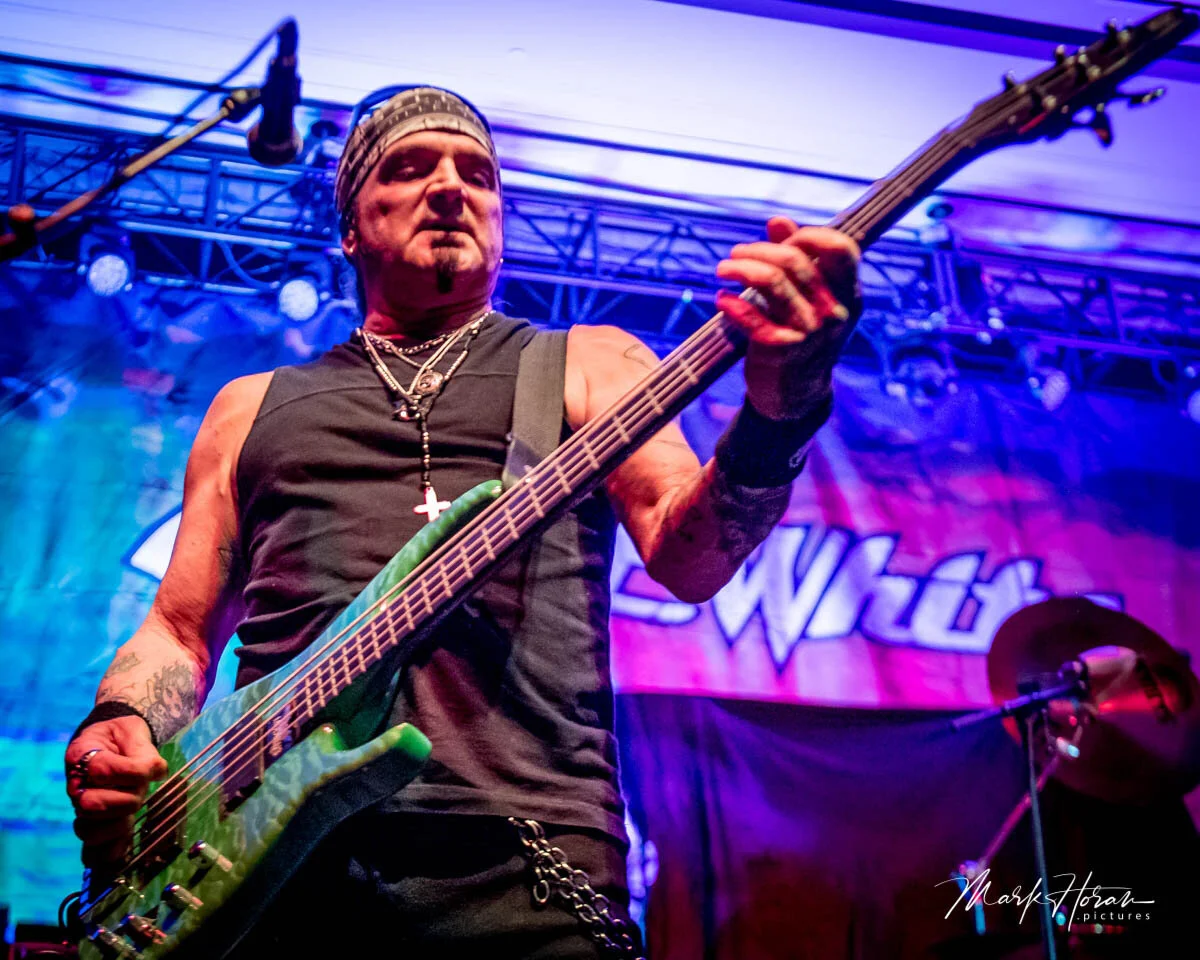 Great White