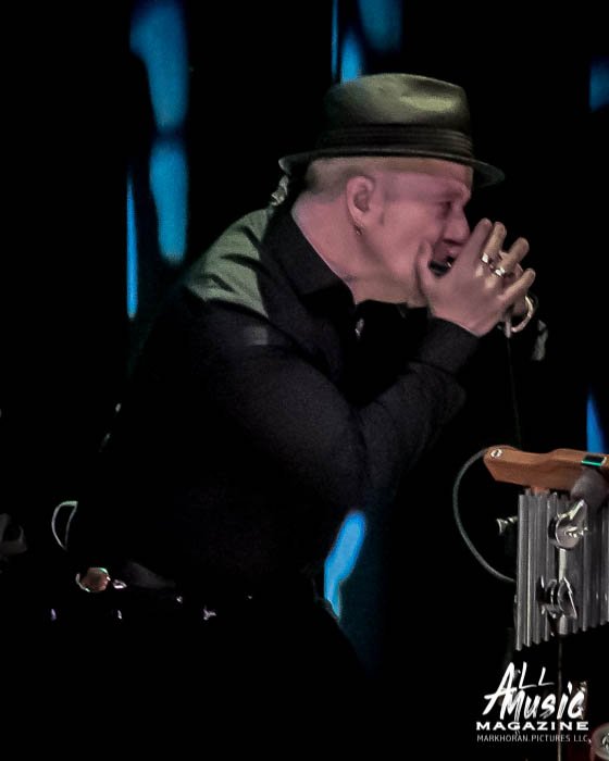 Little Feat
