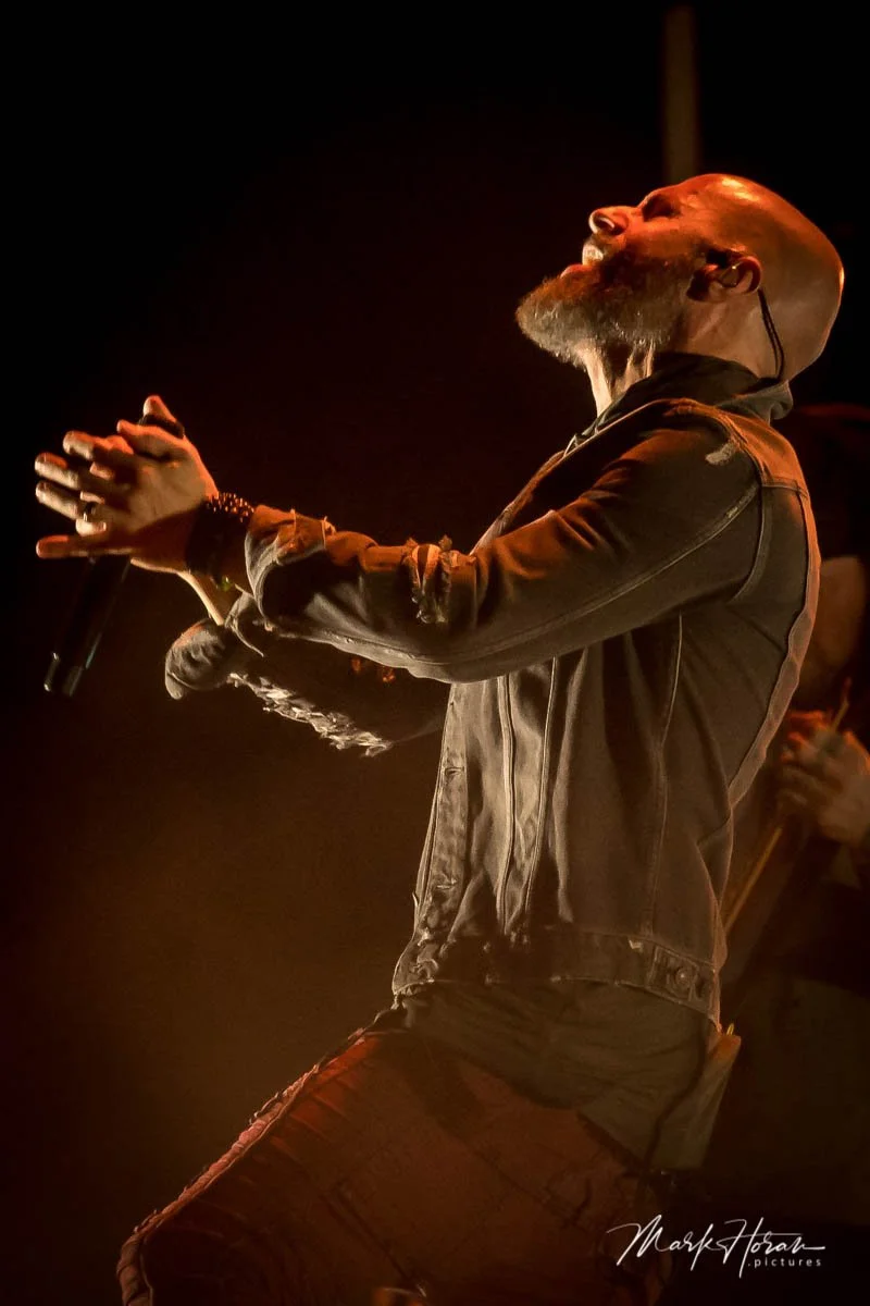 Daughtry