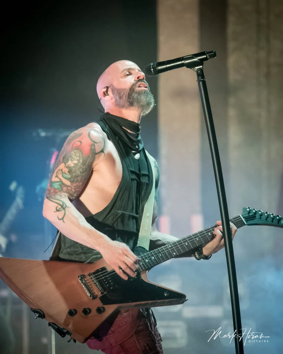 Daughtry