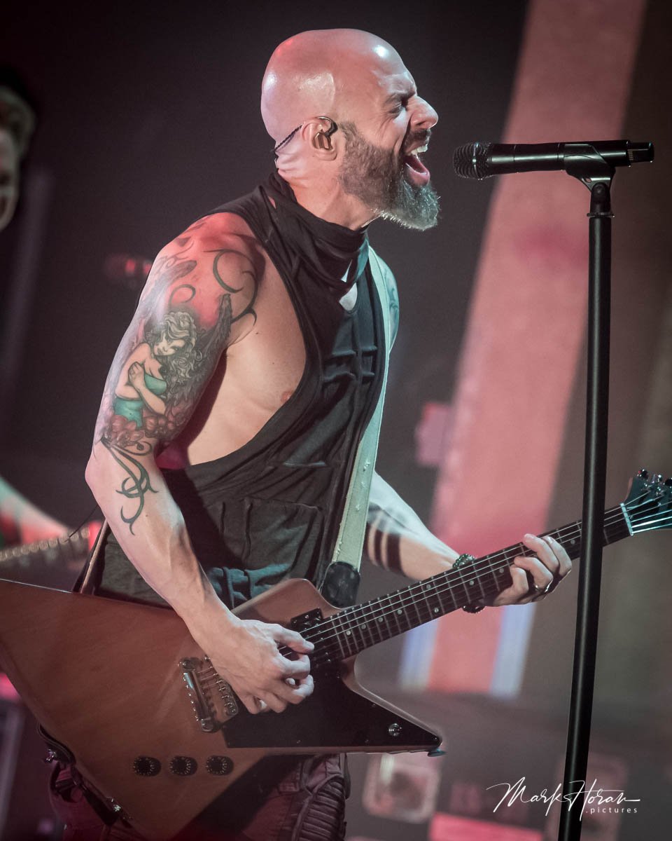 Daughtry