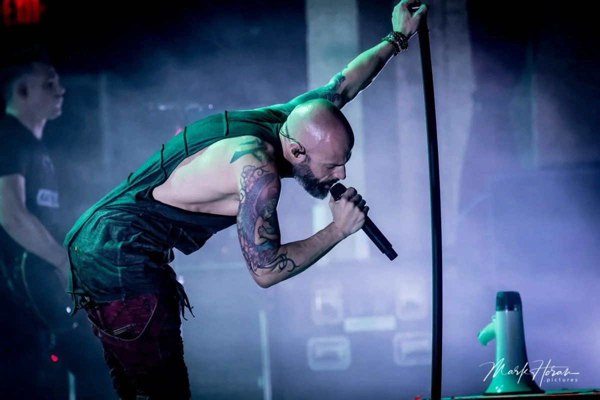 Daughtry