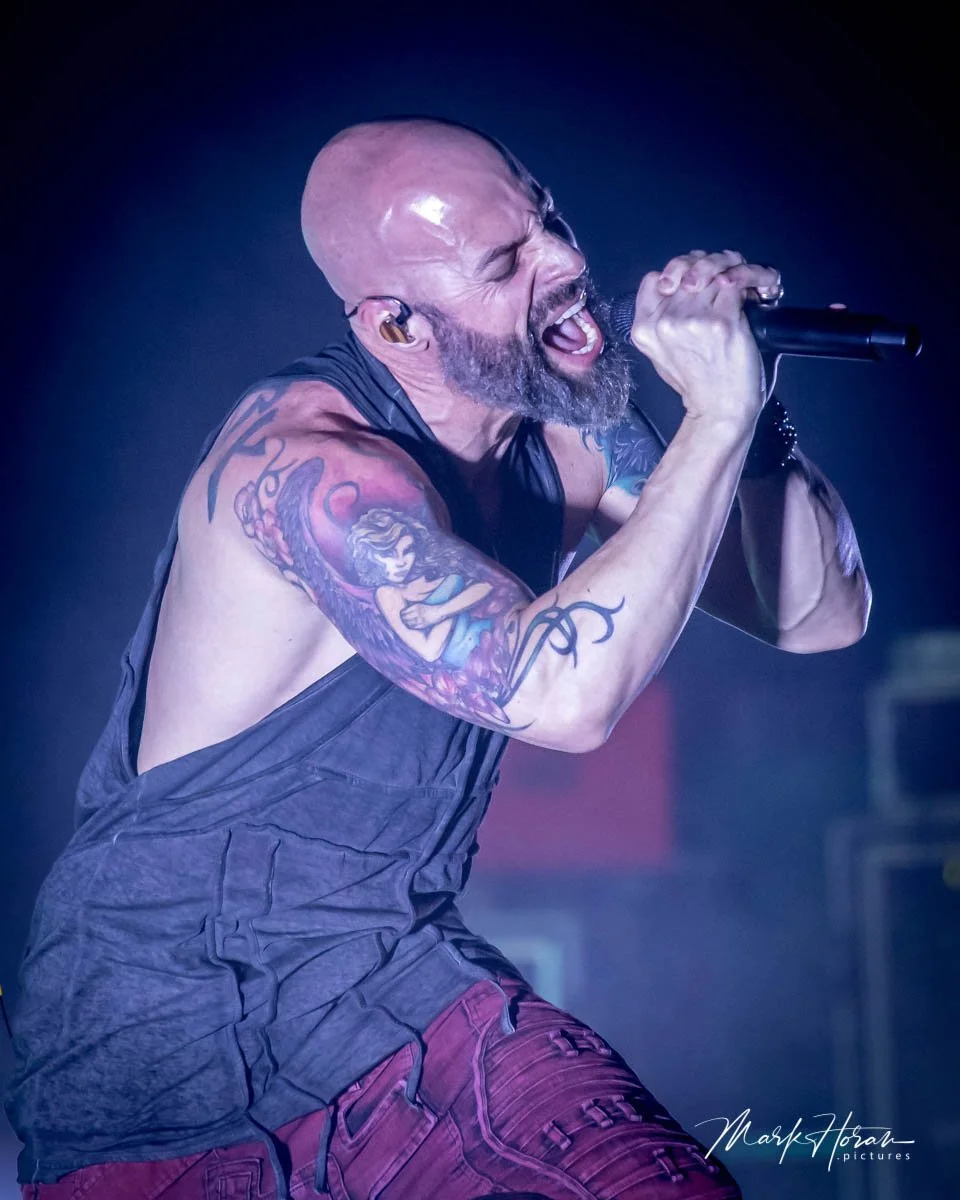Daughtry