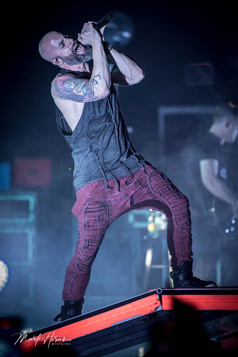 Daughtry