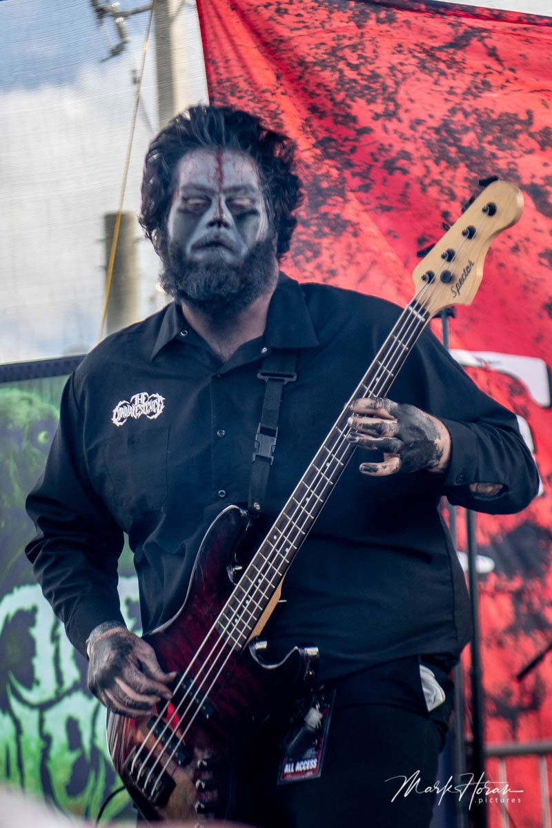The Convalescence