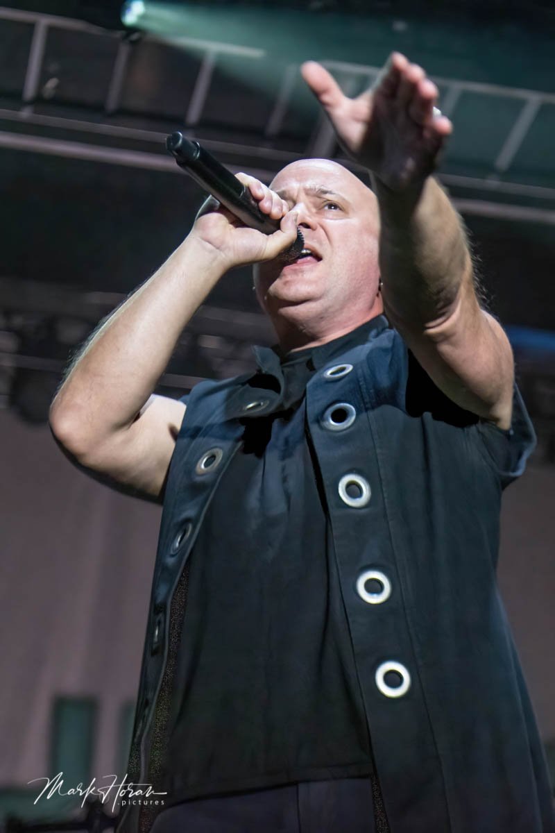 Disturbed
