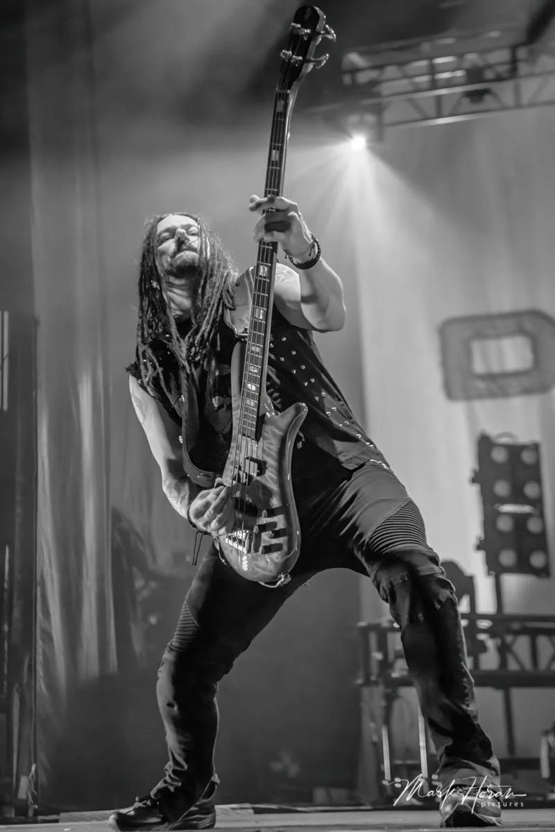 Disturbed