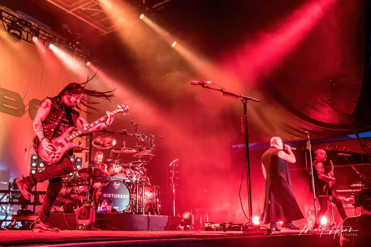 Disturbed