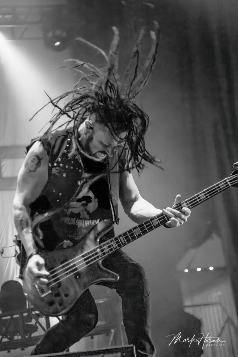 Disturbed
