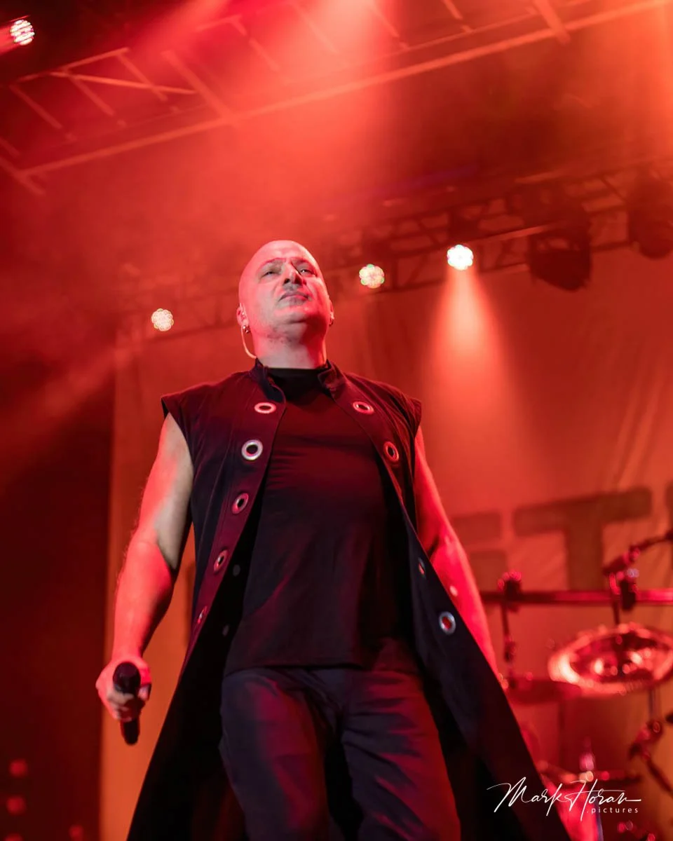 Disturbed