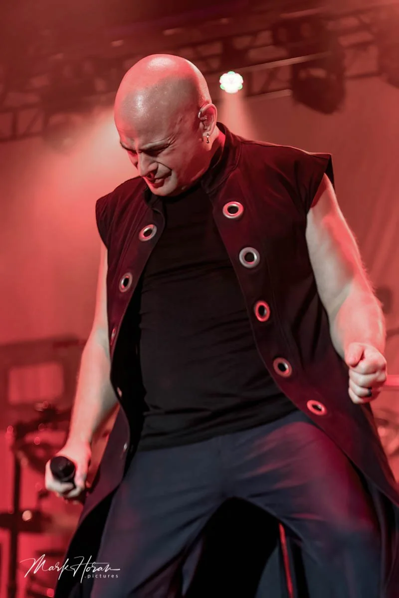Disturbed