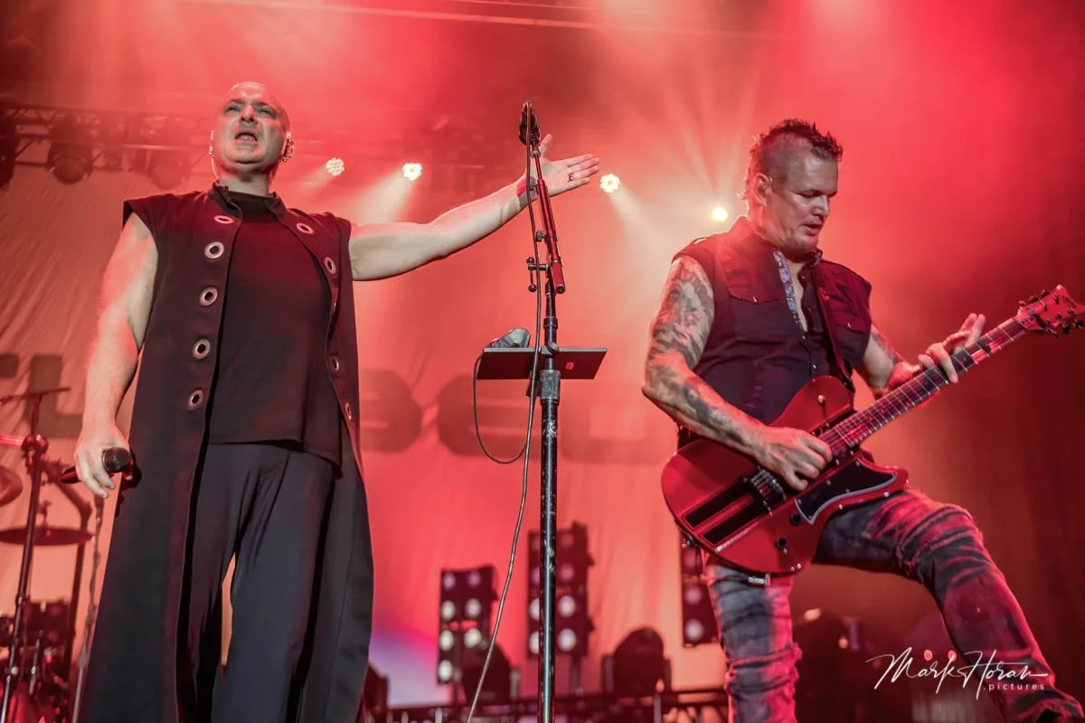 Disturbed