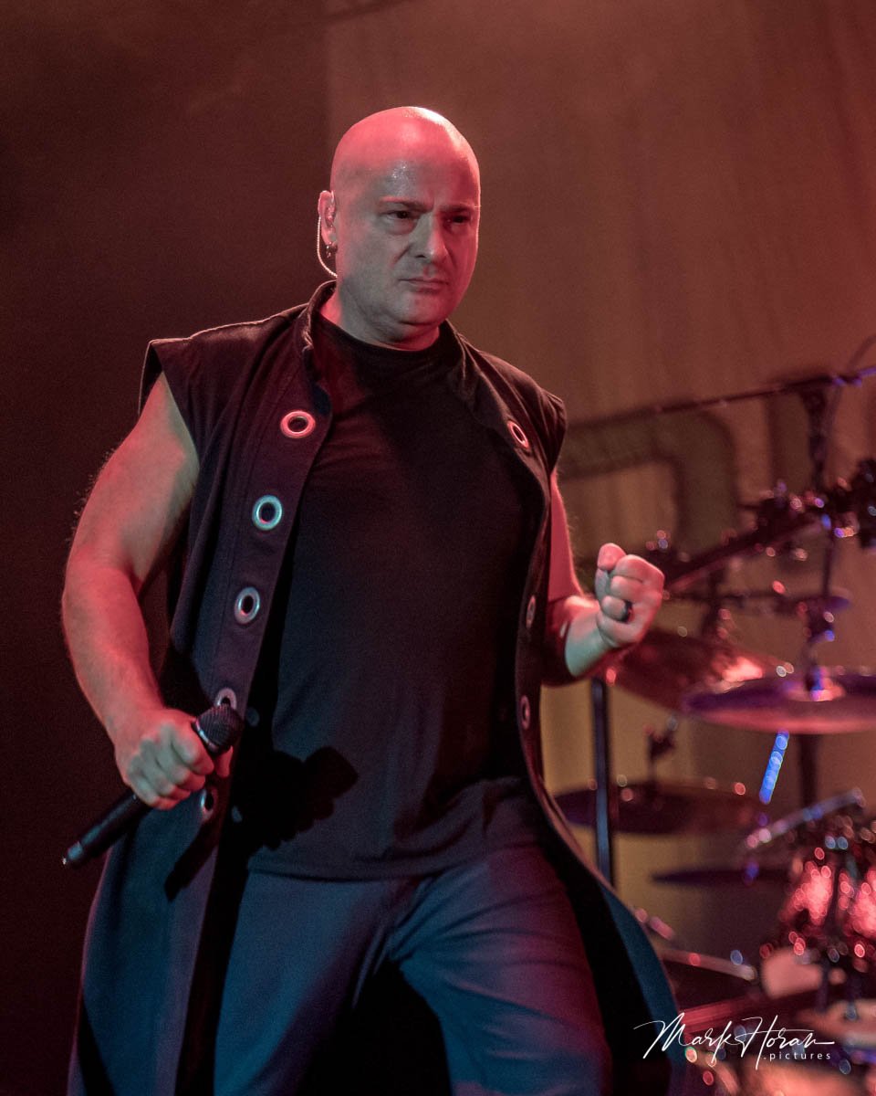 Disturbed