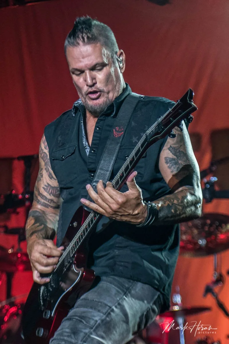 Disturbed