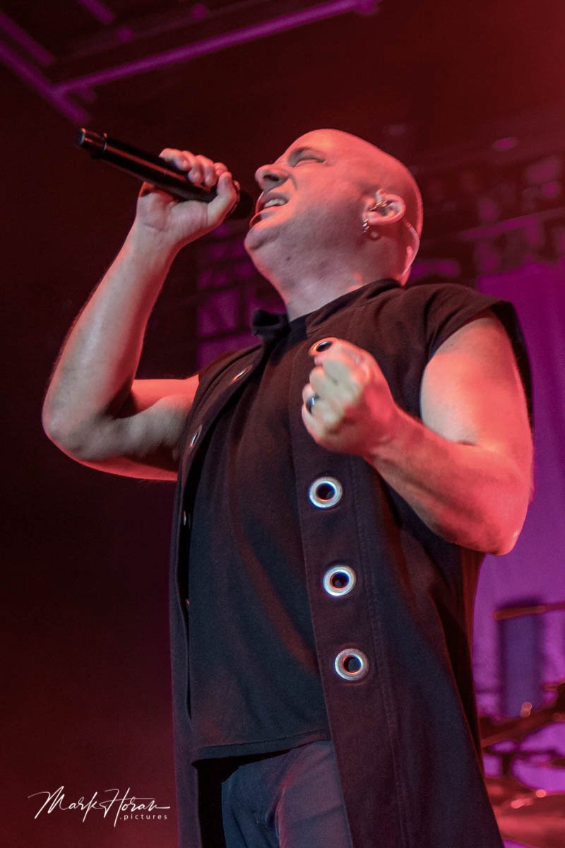 Disturbed