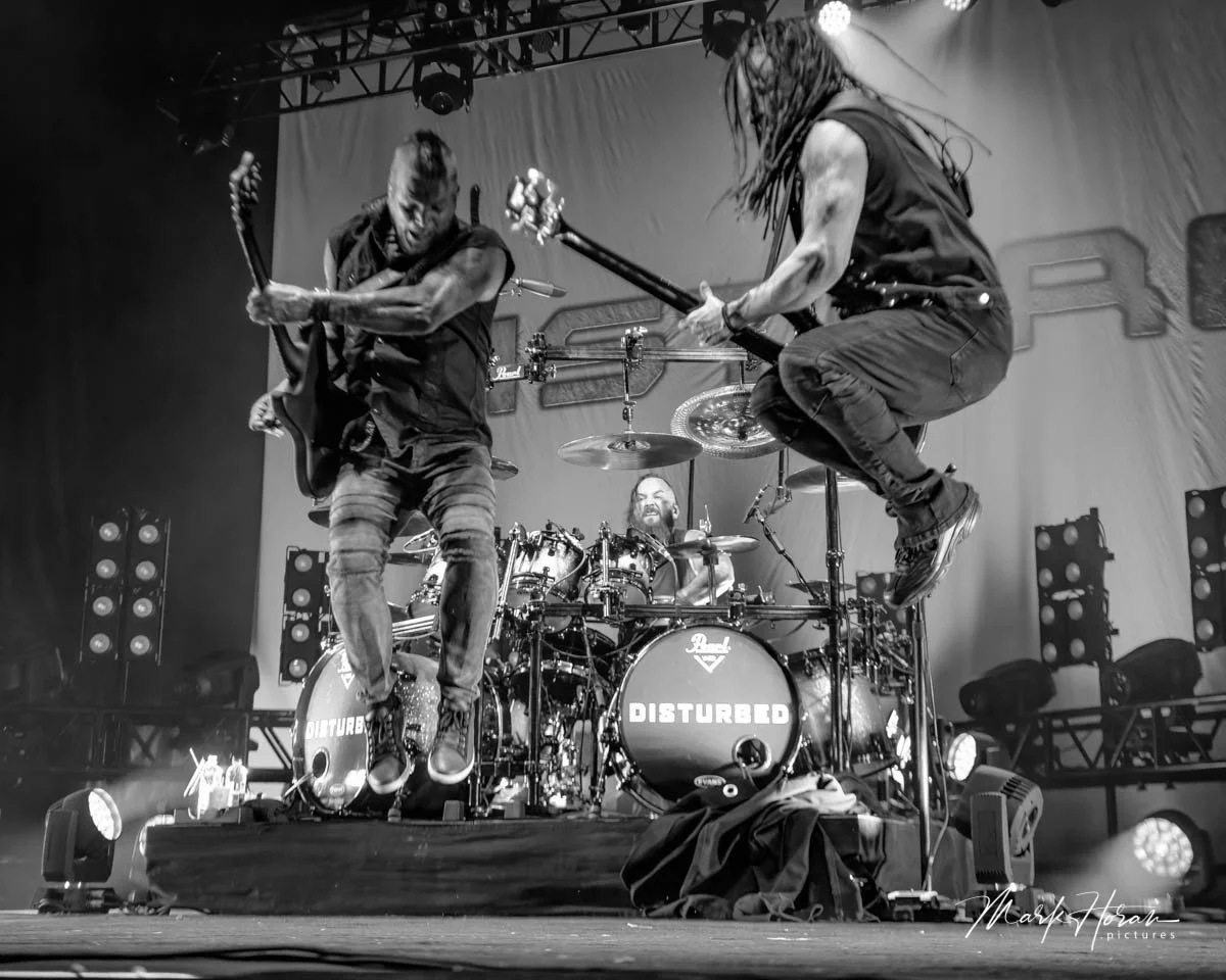 Disturbed