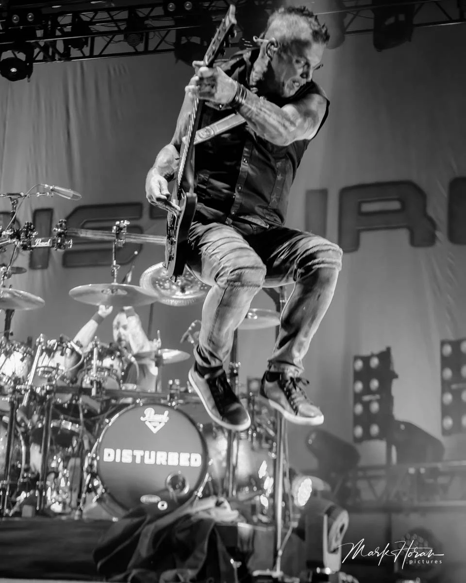 Disturbed
