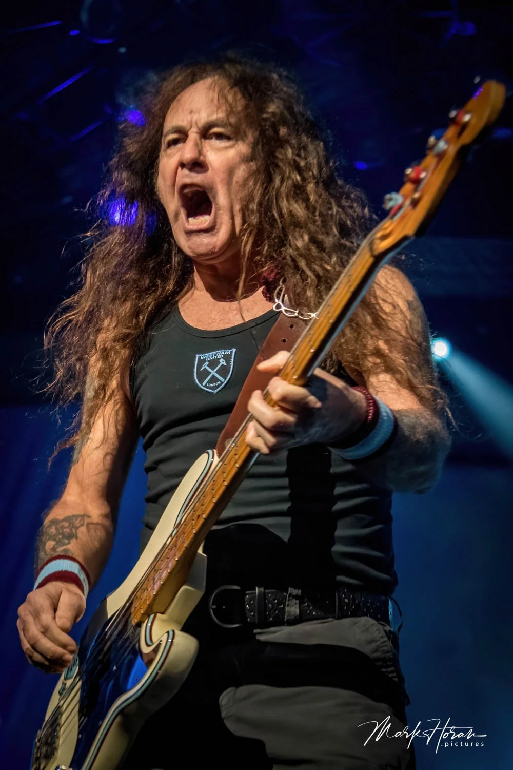 Iron Maiden