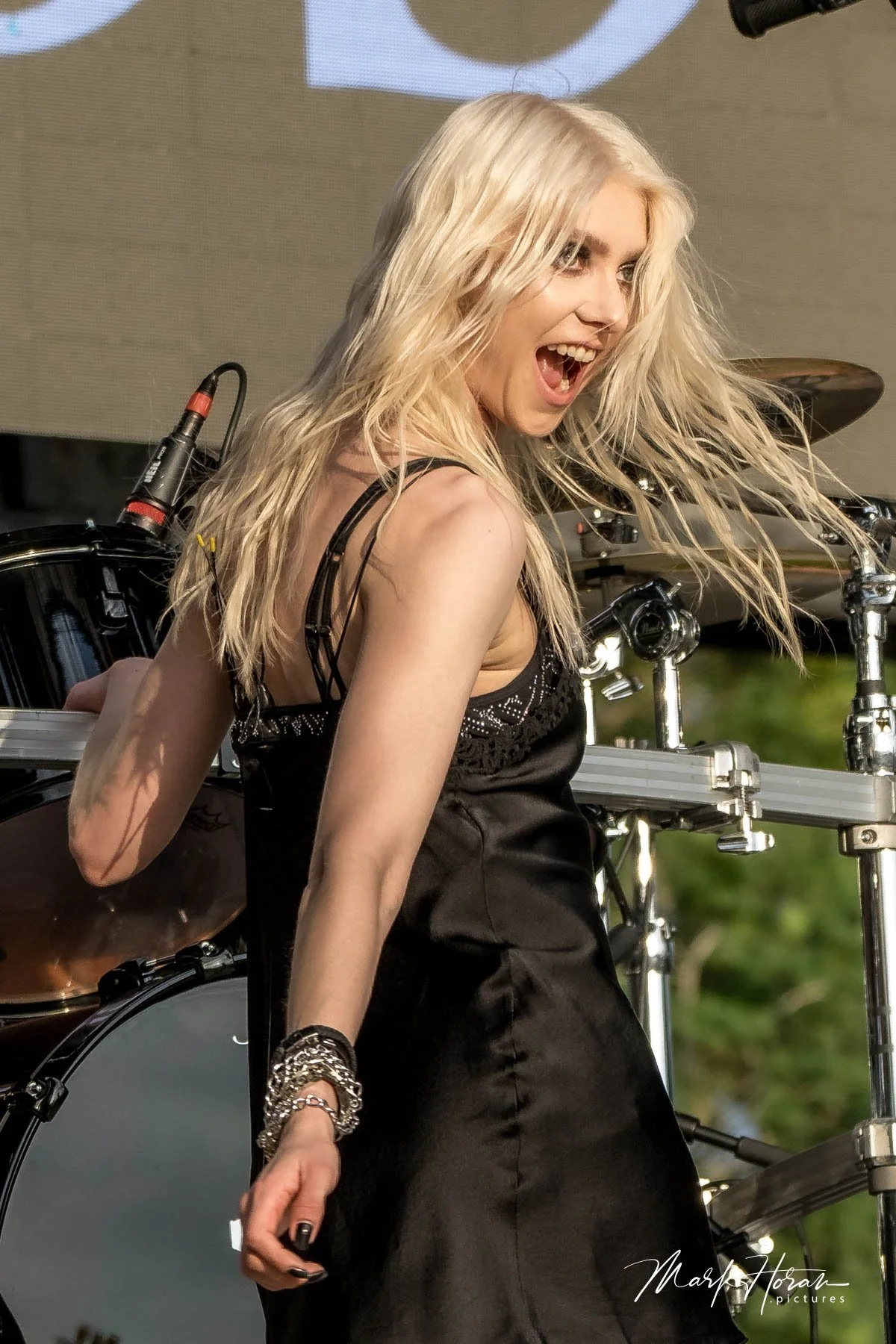 The Pretty Reckless