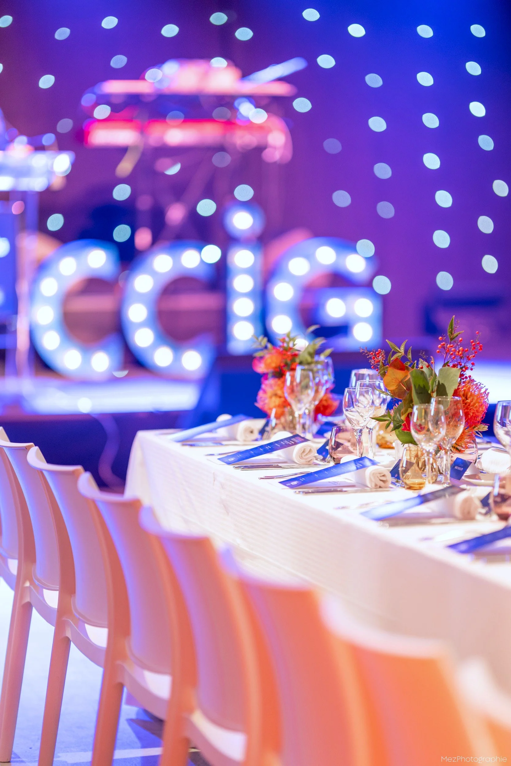 Le Grand Dîner-9.jpg