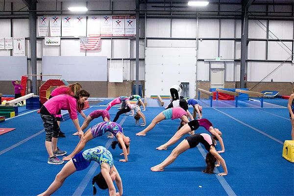 Developmental Gymnastics