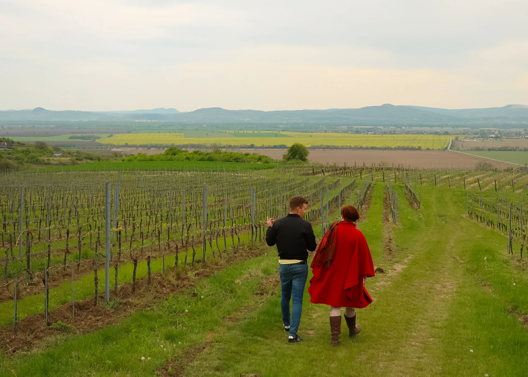 m + f original-2.jpg