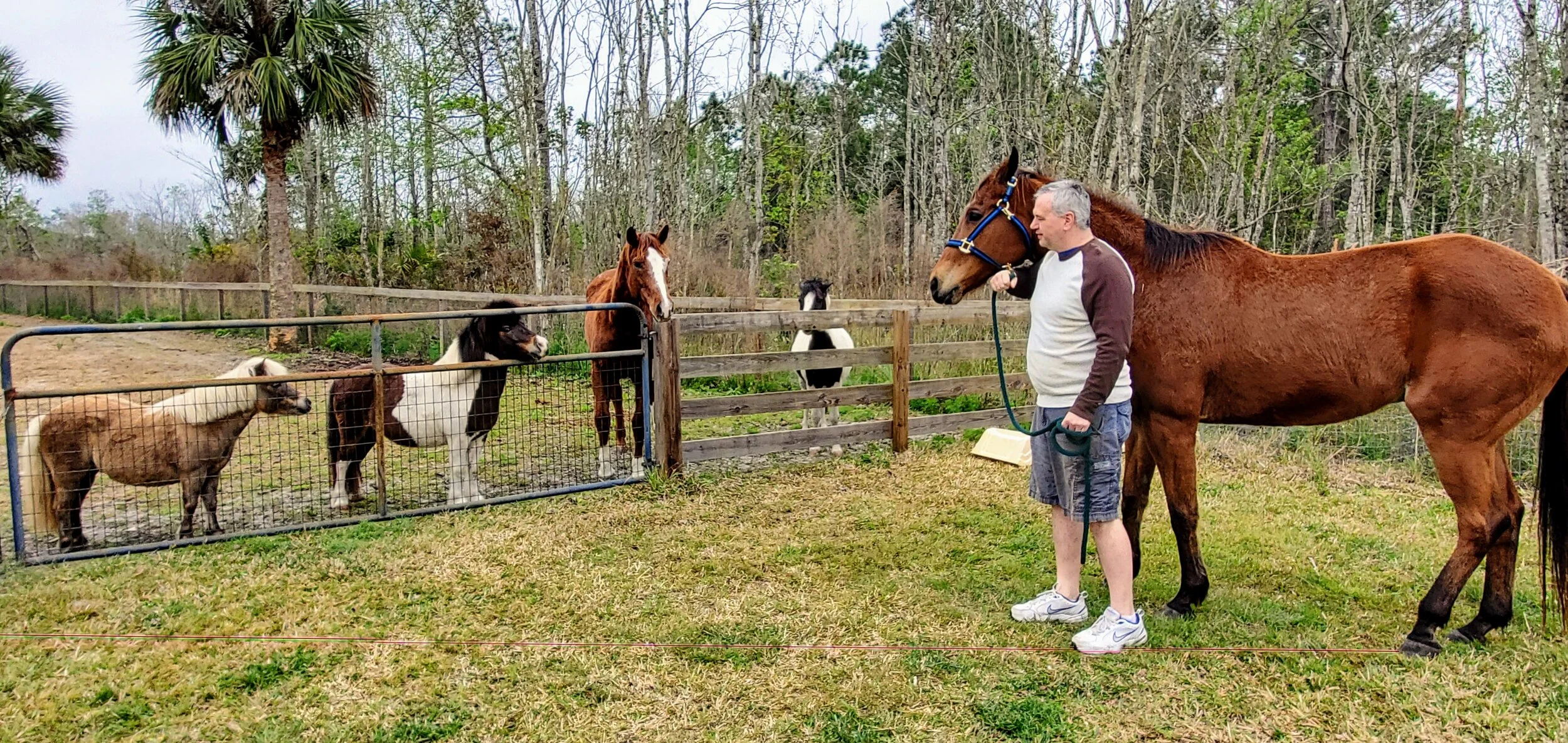 Cheyne Ranch