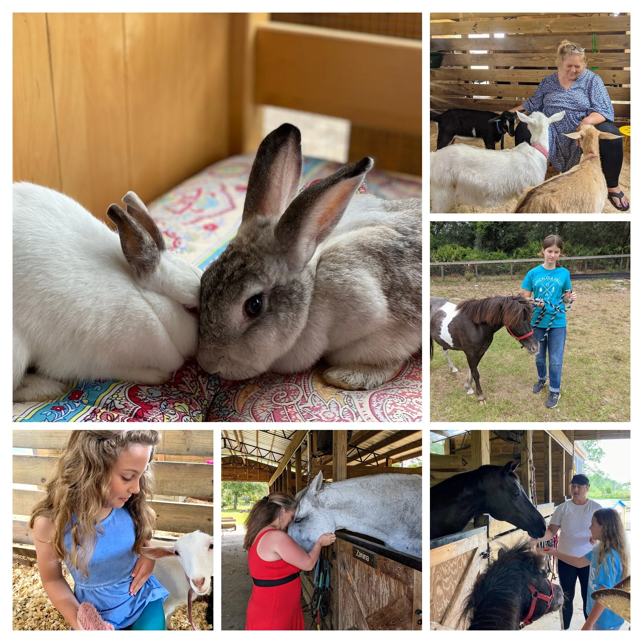 Cheyne Ranch