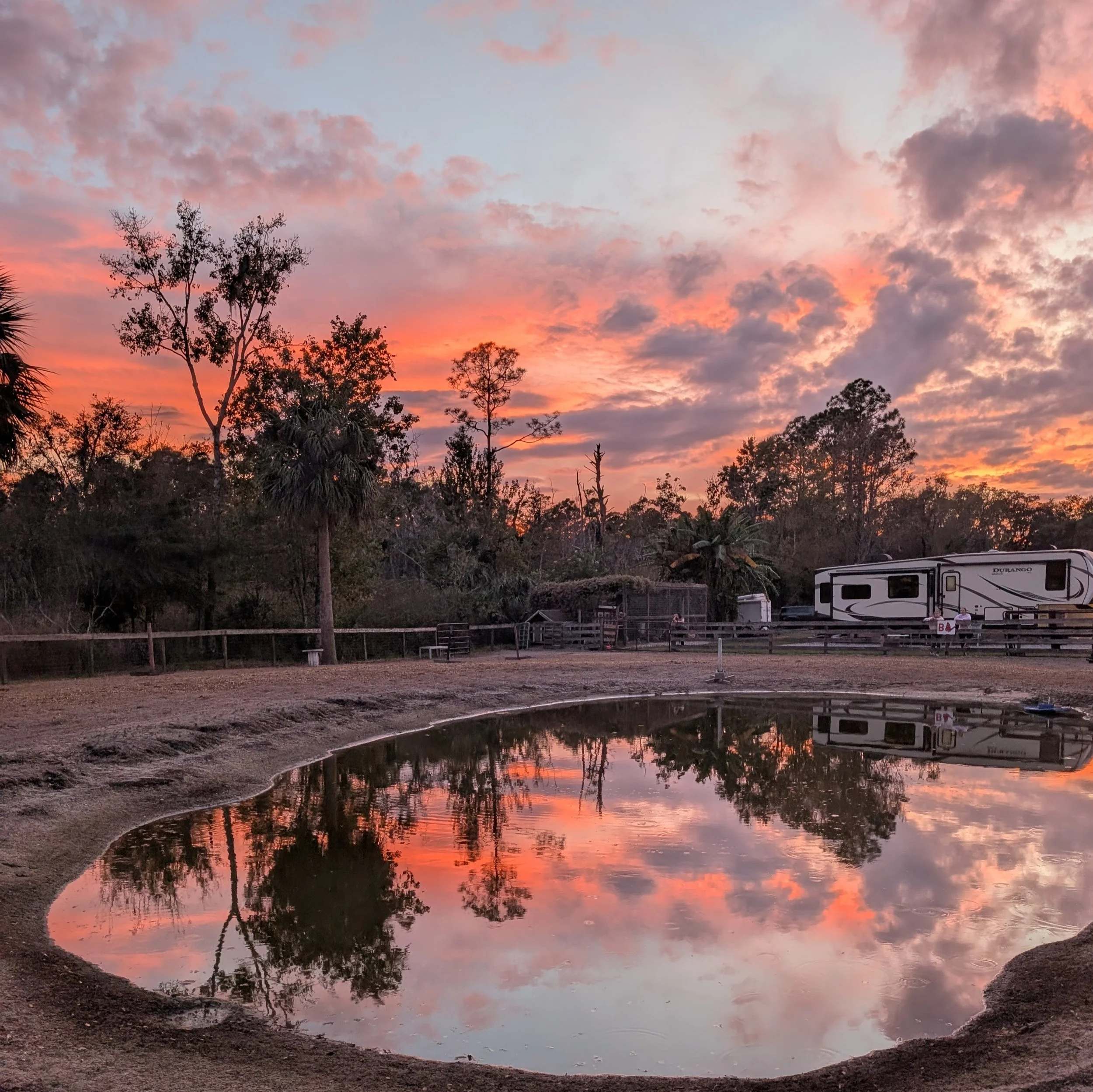 December Update — Cheyne Ranch