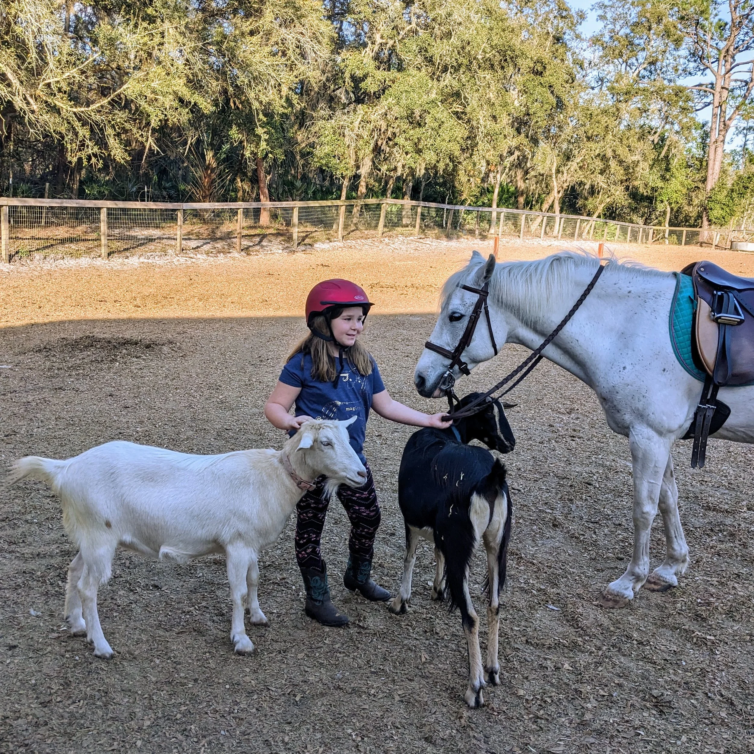 Showcase 2023 — Cheyne Ranch