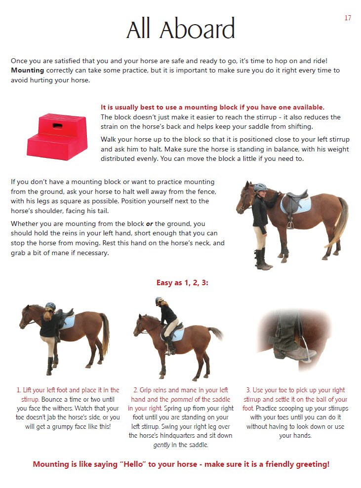 1B. RED SAMPLE page 17.jpg