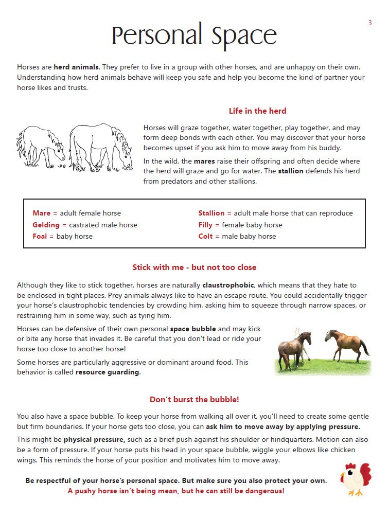 1B. RED SAMPLE page 3.jpg