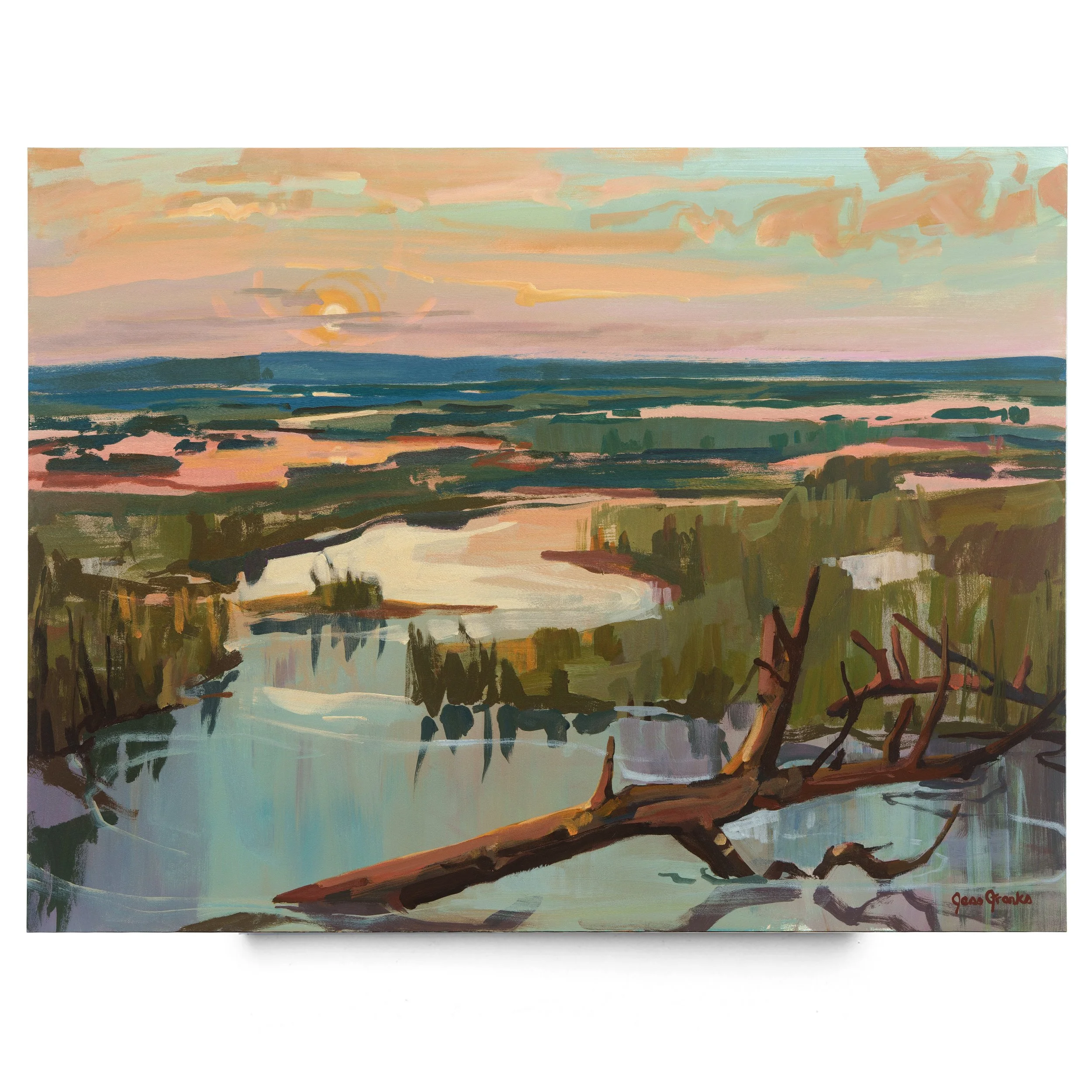 Marsh1.jpg