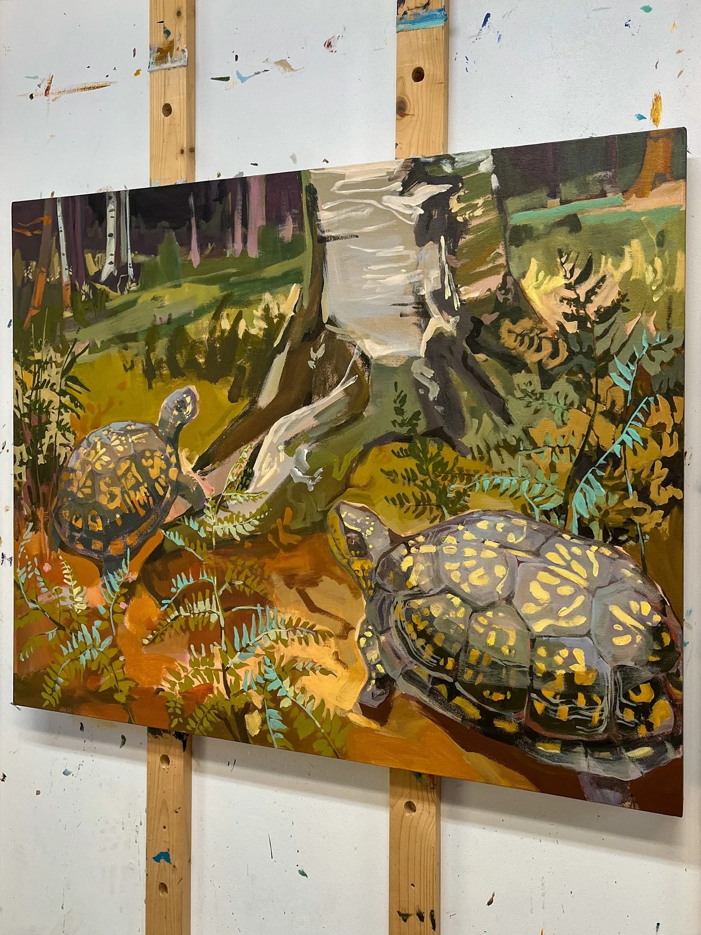 Eastern Box Turtles on the easel today as part of my new woodland creatures series. These guys populate our back woods, and while protecting them from development last year, I was tasked with compiling all the sightings. Each one has an intricately p