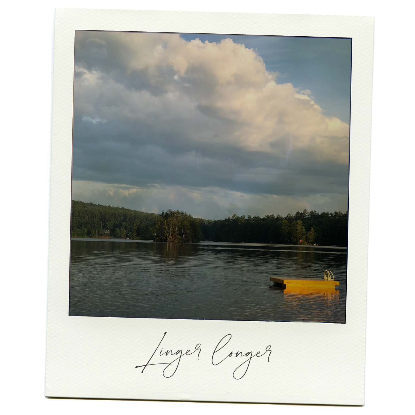 On the Water, In the Woods