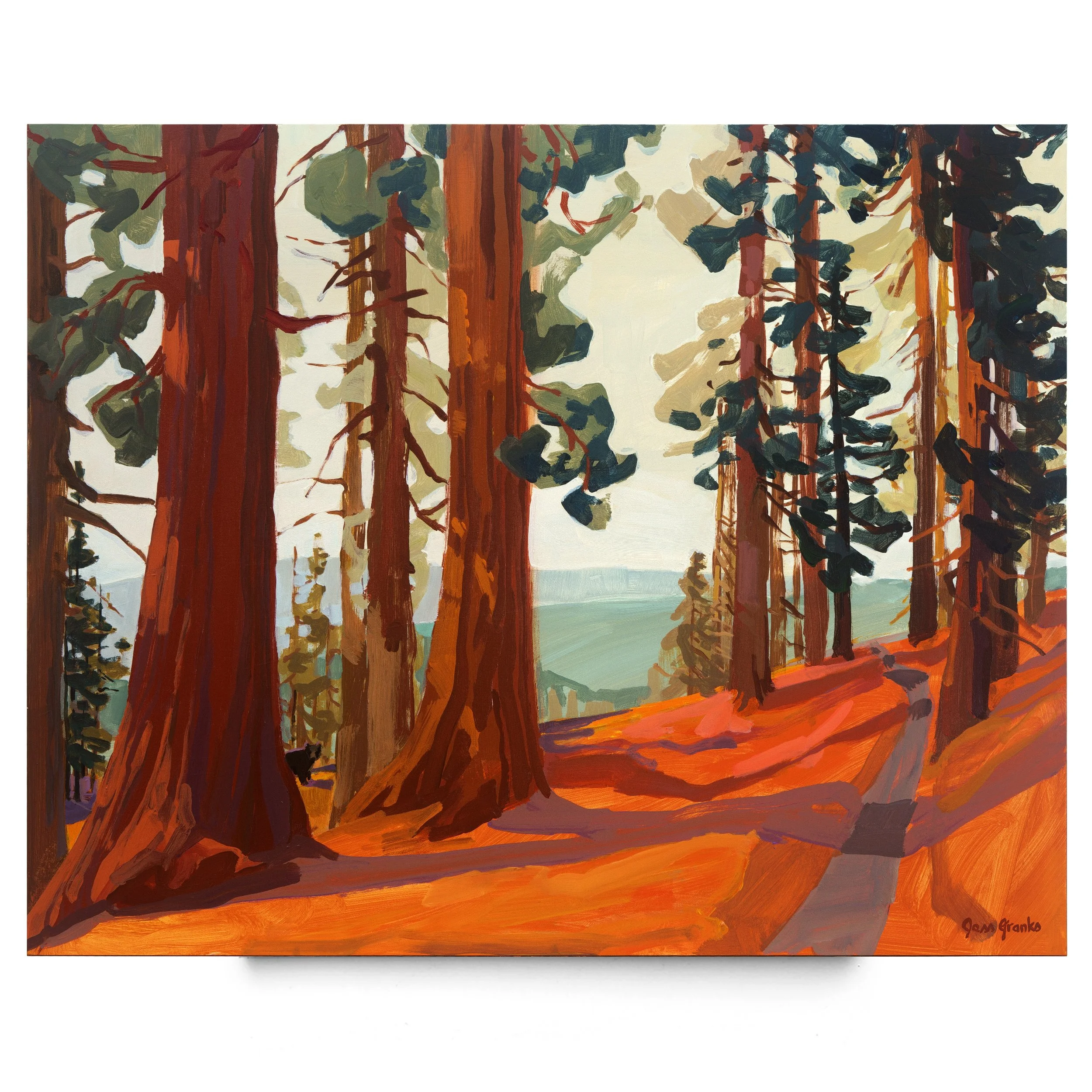 Forest1.jpg