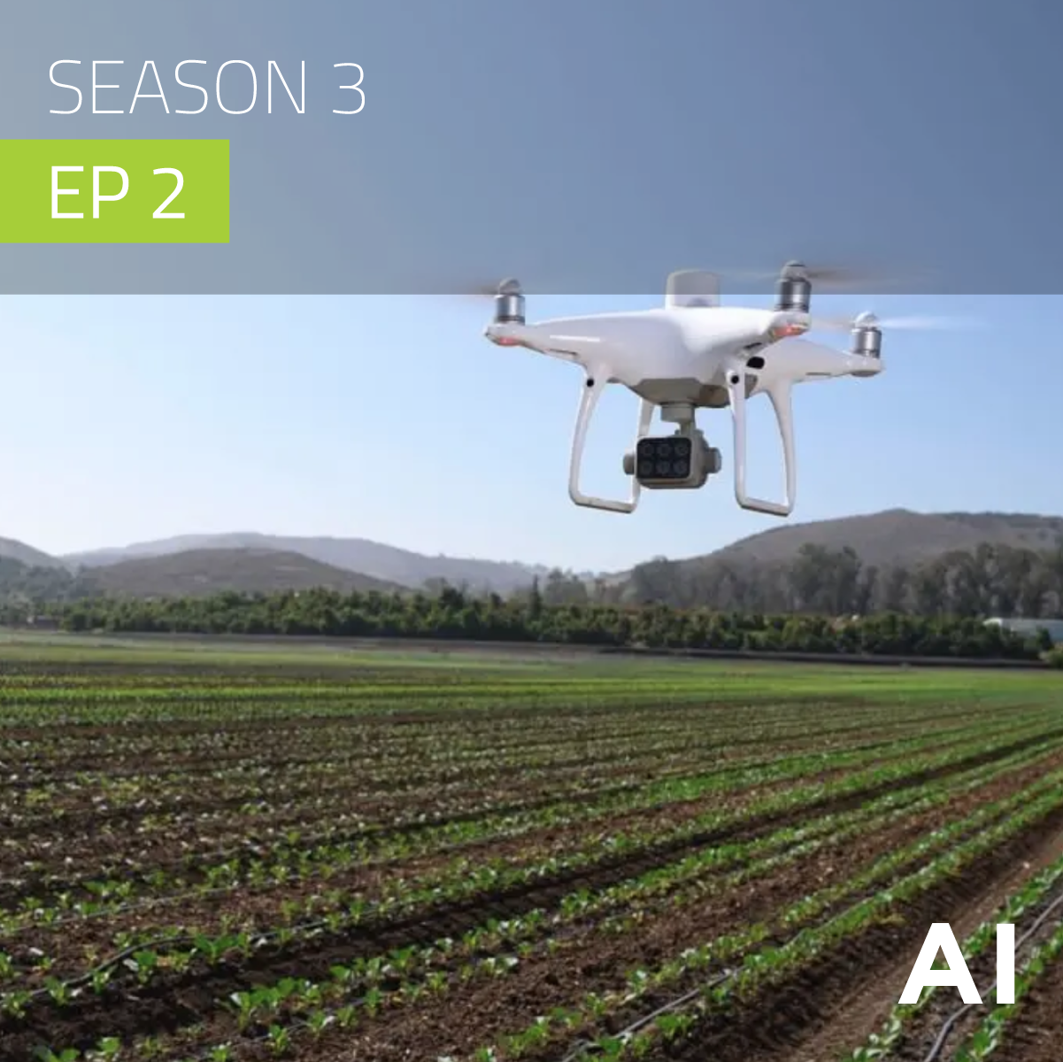 Drones in Agriculture: Mapping in the P4 Multispectral
