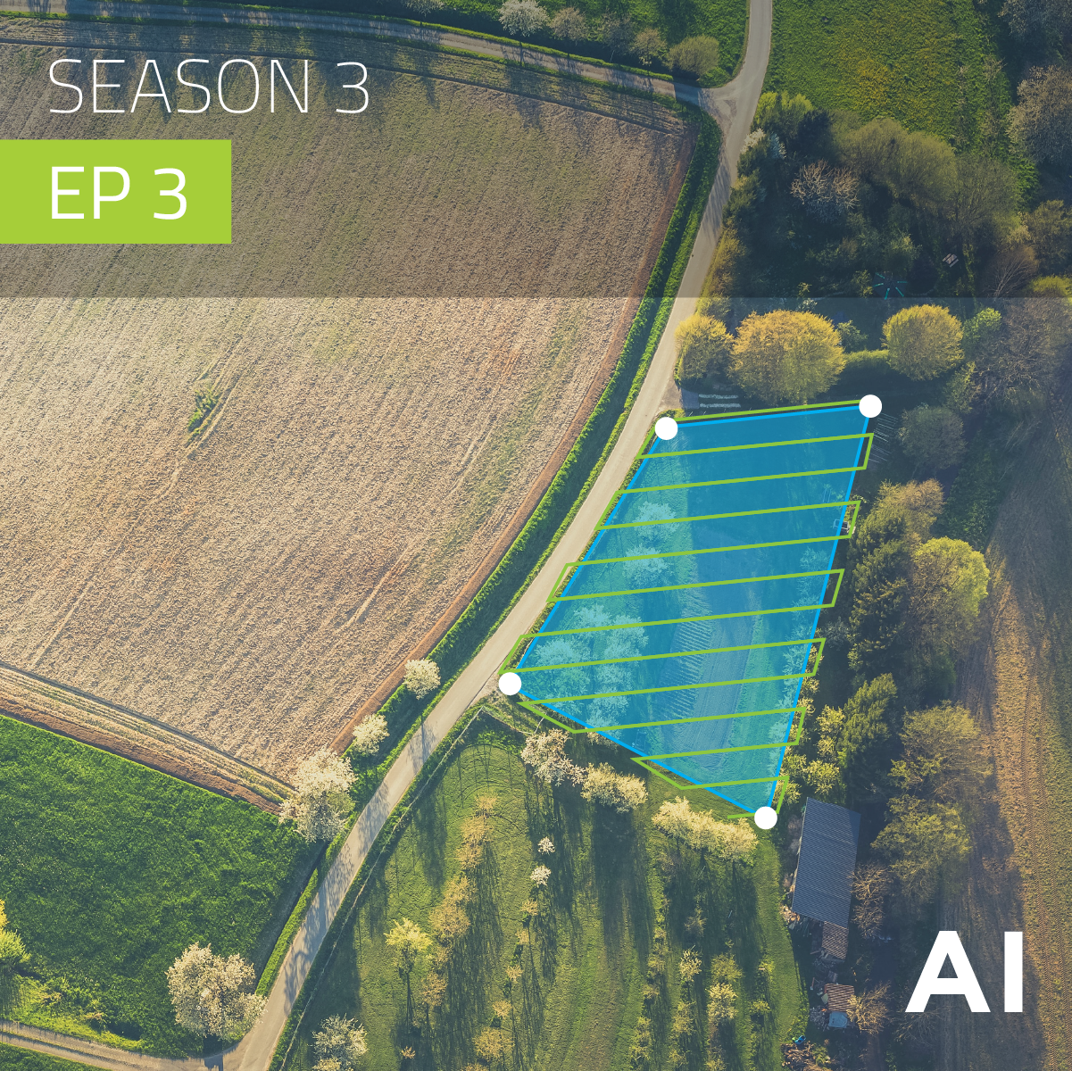 Drones in Agriculture: What is DJI Terra?