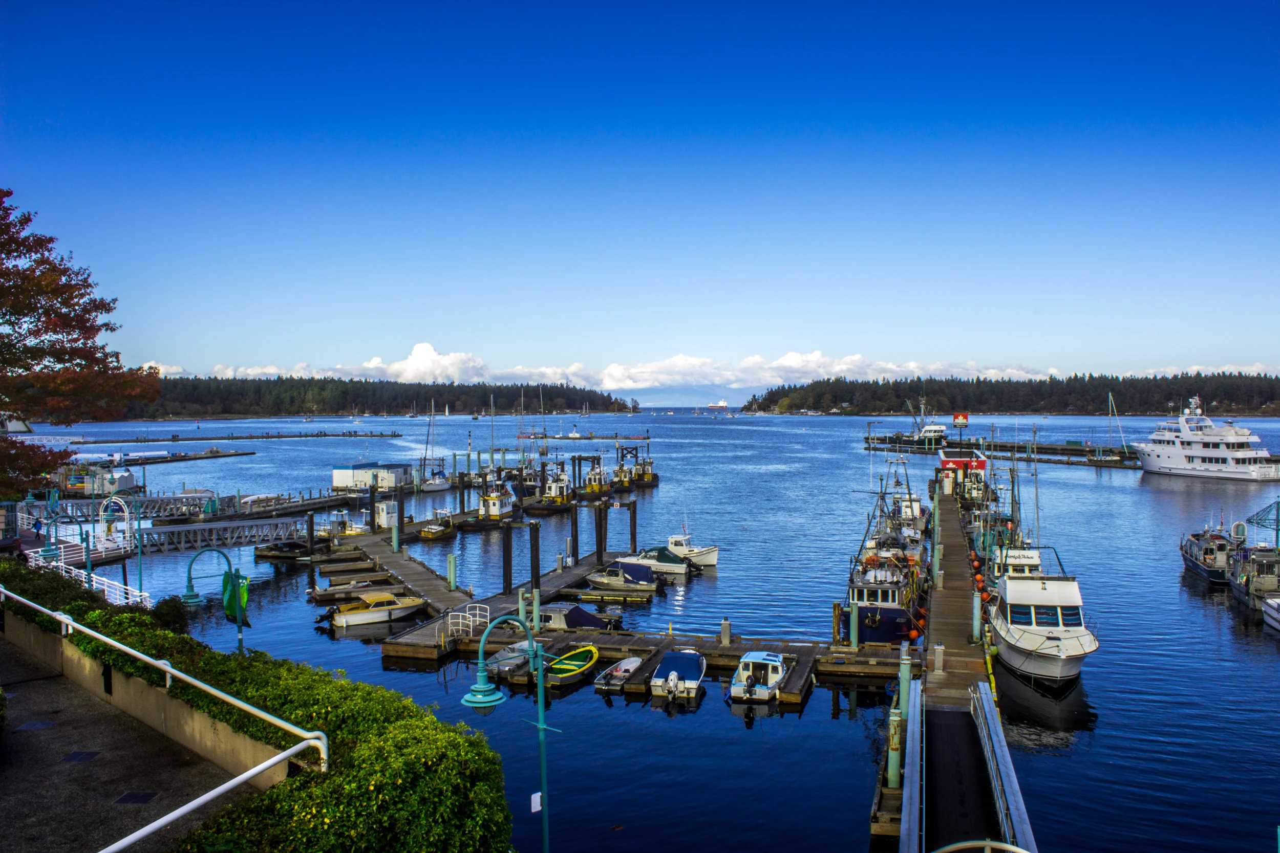IMG_2496-Edit-2.jpg