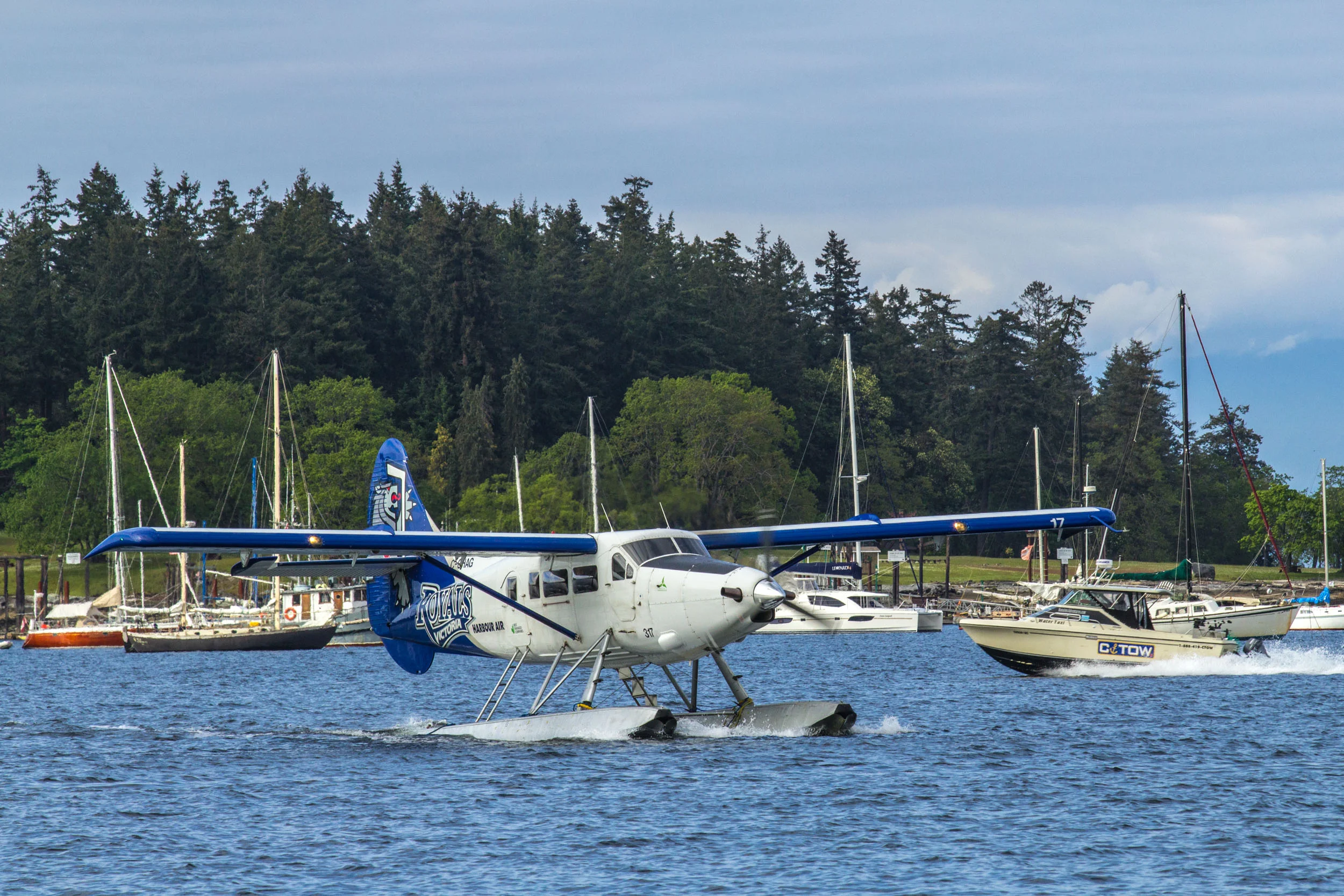 IMG_4974-Edit.jpg