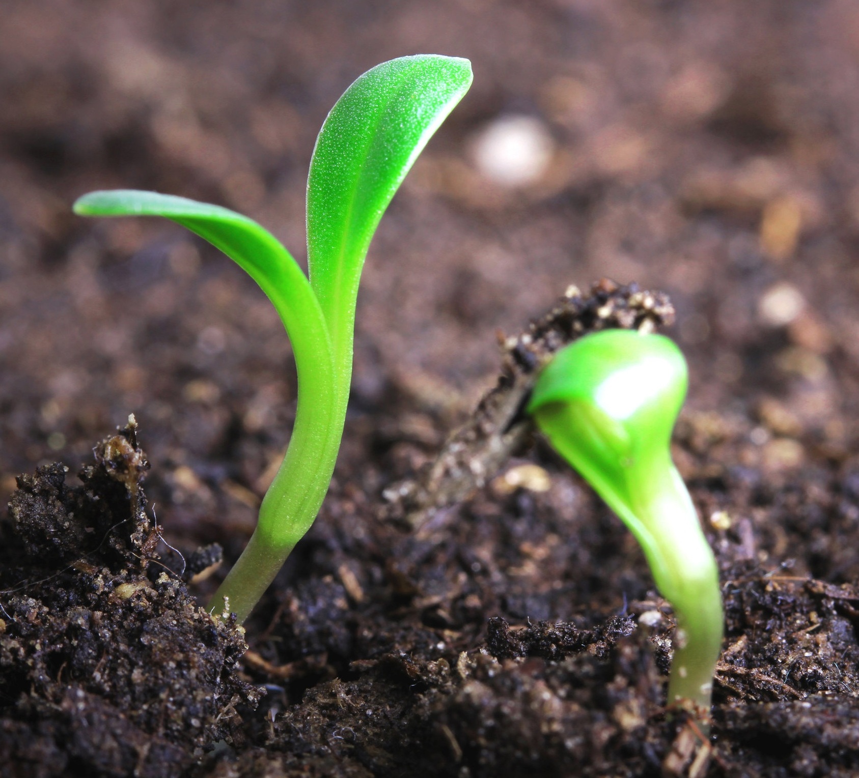 Fotolia_51847702_Subscription_Monthly_XL.jpg