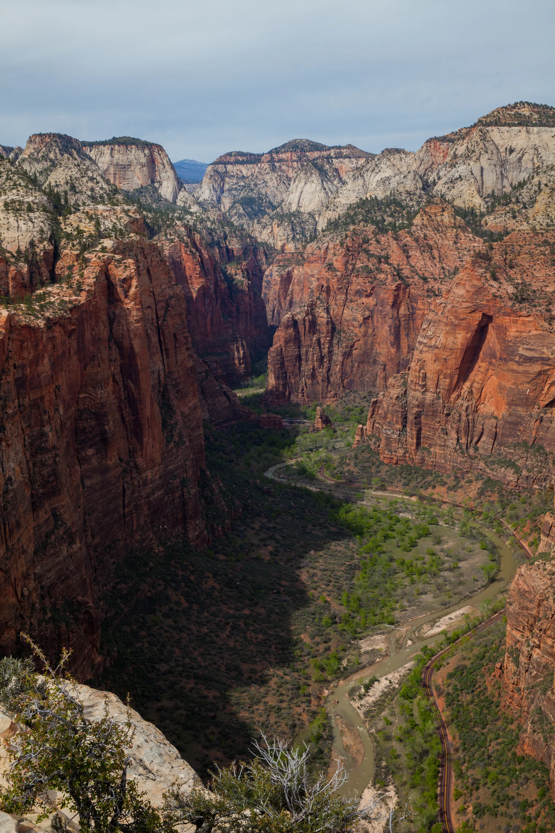 IMG_7859-Edit.jpg