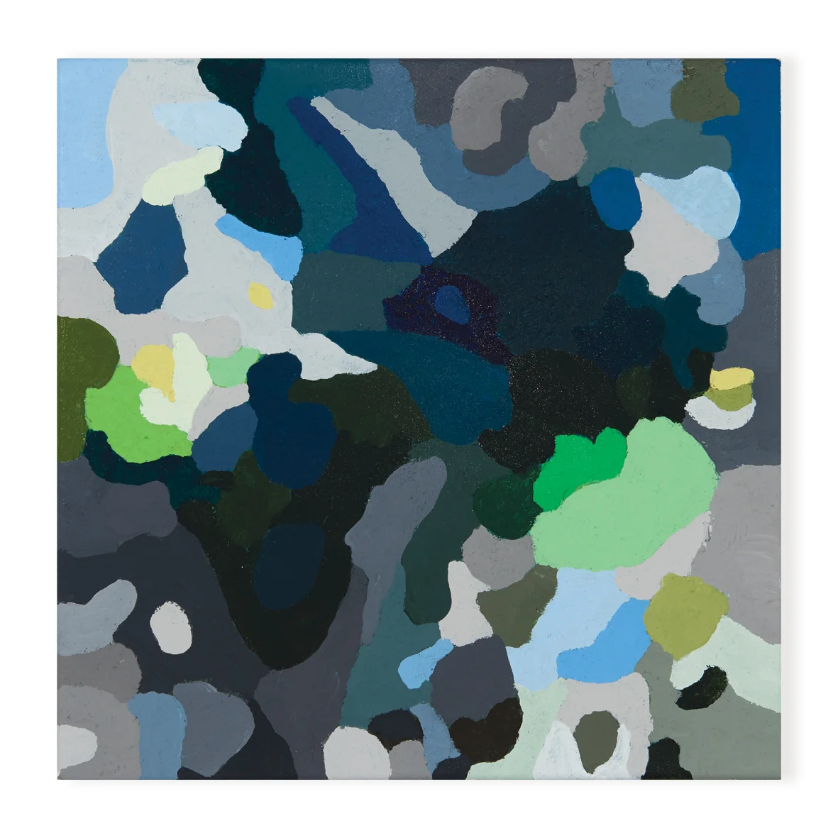 Study 15