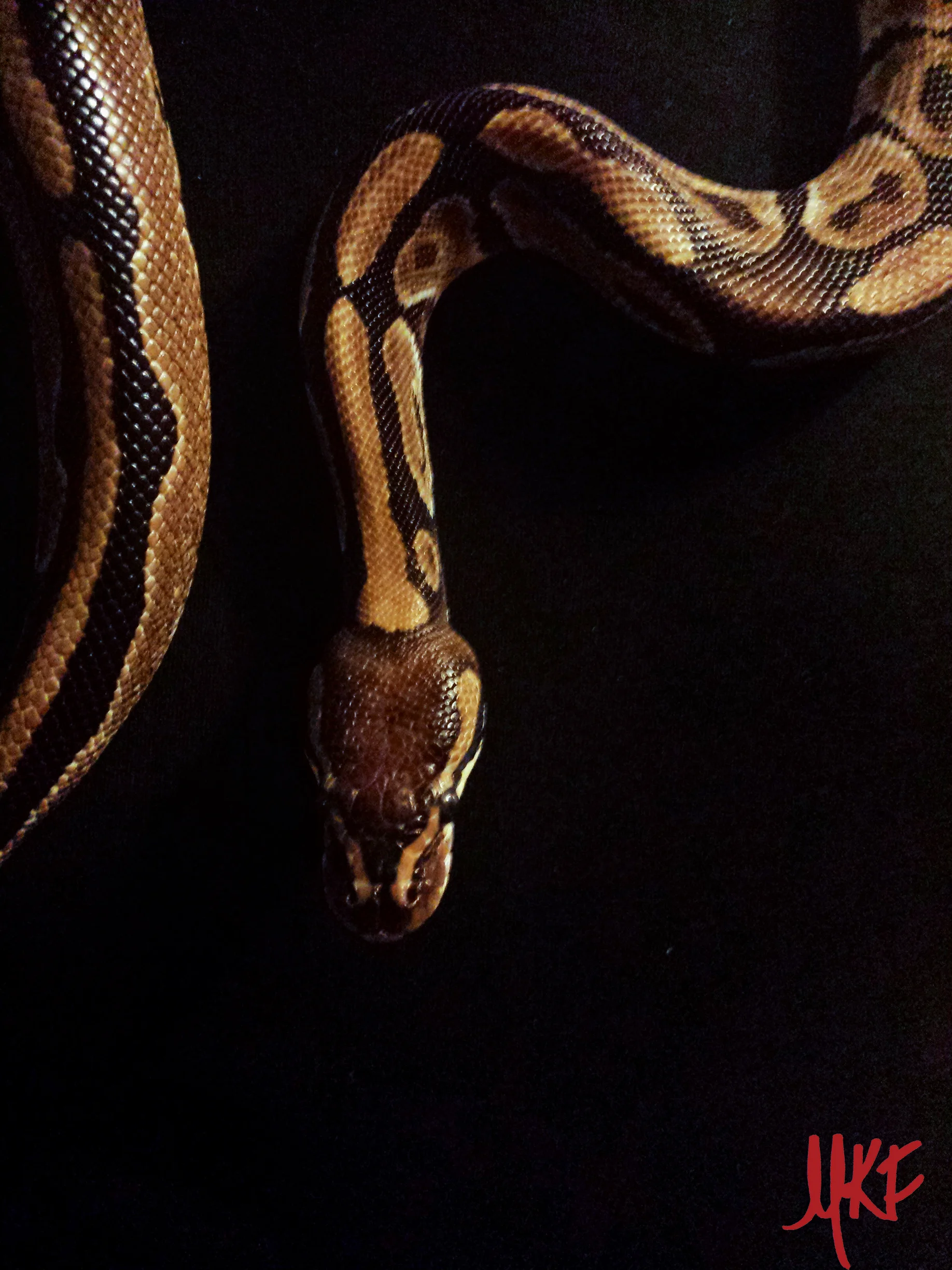 20131030_195154_MSW.jpg