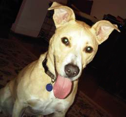 Rocko.jpg