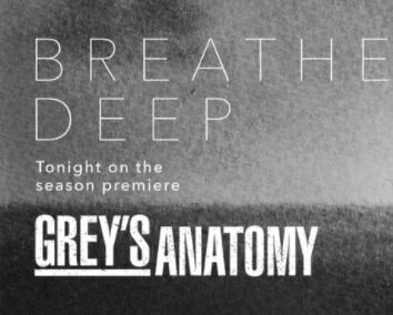 Sleeping At Last "Breathe Deep" on Grey's Anatomy Season 17 Premier