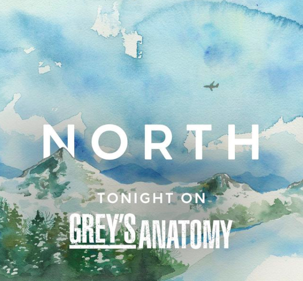 Sleeping At Last On Grey's Anatomy's Winter Season Finale
