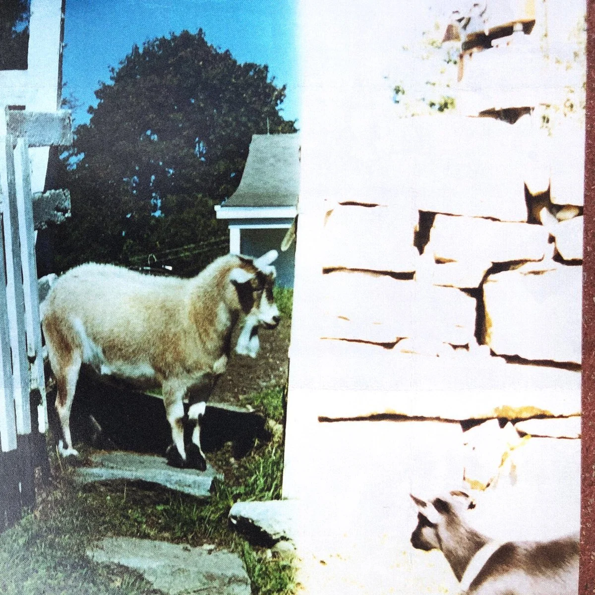 The Brazen Youth new EP "Changing" is out tonight!