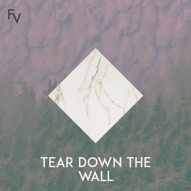 "Tear Down The Wall" is the new Forest Veil Single. Click here to watch/listen.